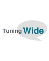 튜닝와이드